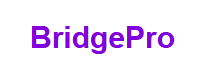 BridgePro Logo